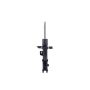 FCS Struts 334467L Suspension Strut