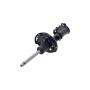 FCS Struts 334467L Suspension Strut