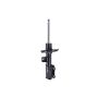 FCS Struts 334473L Suspension Strut