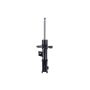 FCS Struts 334473L Suspension Strut