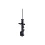 FCS Struts 334475R Suspension Strut