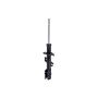 FCS Struts 334483R Suspension Strut