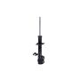FCS Struts 334484R Suspension Strut