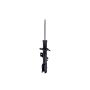 FCS Struts 334484R Suspension Strut