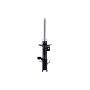 FCS Struts 334485L Suspension Strut
