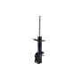 FCS Struts 334485R Suspension Strut