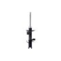 FCS Struts 334485R Suspension Strut