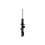 FCS Struts 334486L Suspension Strut