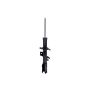 FCS Struts 334486R Suspension Strut