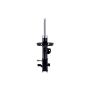 FCS Struts 334489L Suspension Strut