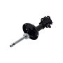 FCS Struts 334489L Suspension Strut