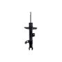 FCS Struts 334497L Suspension Strut