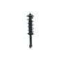 FCS Struts 3345685L Suspension Strut and Coil Spring Assembly