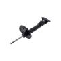 FCS Struts 335419L Suspension Strut