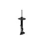 FCS Struts 335419R Suspension Strut