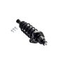 FCS Struts 3355016L Suspension Strut and Coil Spring Assembly
