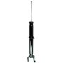 FCS Struts 335522 Suspension Strut