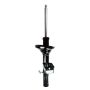 FCS Struts 335549 Suspension Strut