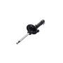 FCS Struts 335563 Suspension Strut