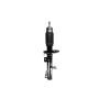 FCS Struts 335579L Suspension Strut