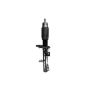 FCS Struts 335579R Suspension Strut