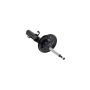 FCS Struts 335701L Suspension Strut