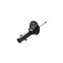 FCS Struts 335701L Suspension Strut