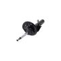 FCS Struts 335701R Suspension Strut