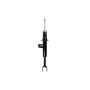 FCS Struts 335774L Suspension Strut