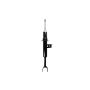 FCS Struts 335774R Suspension Strut