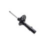 FCS Struts 335795R Suspension Strut