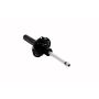 FCS Struts 335818 Suspension Strut