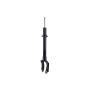 FCS Struts 335883 Suspension Strut