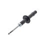 FCS Struts 335895 Suspension Strut