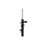 FCS Struts 335896L Suspension Strut