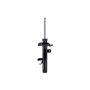 FCS Struts 335896L Suspension Strut