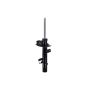 FCS Struts 335896R Suspension Strut