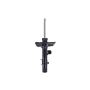 FCS Struts 335909L Suspension Strut
