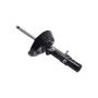 FCS Struts 335909L Suspension Strut