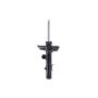 FCS Struts 335909R Suspension Strut