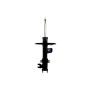 FCS Struts 335924L Suspension Strut