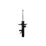 FCS Struts 335958L Suspension Strut