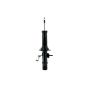 FCS Struts 335980L Suspension Strut