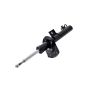 FCS Struts 336302 Suspension Strut