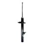 FCS Struts 336309 Suspension Strut