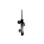 FCS Struts 336311R Suspension Strut