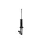 FCS Struts 336322L Suspension Strut