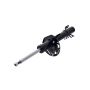 FCS Struts 337049 Suspension Strut