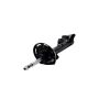 FCS Struts 337061 Suspension Strut
