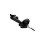 FCS Struts 337061 Suspension Strut